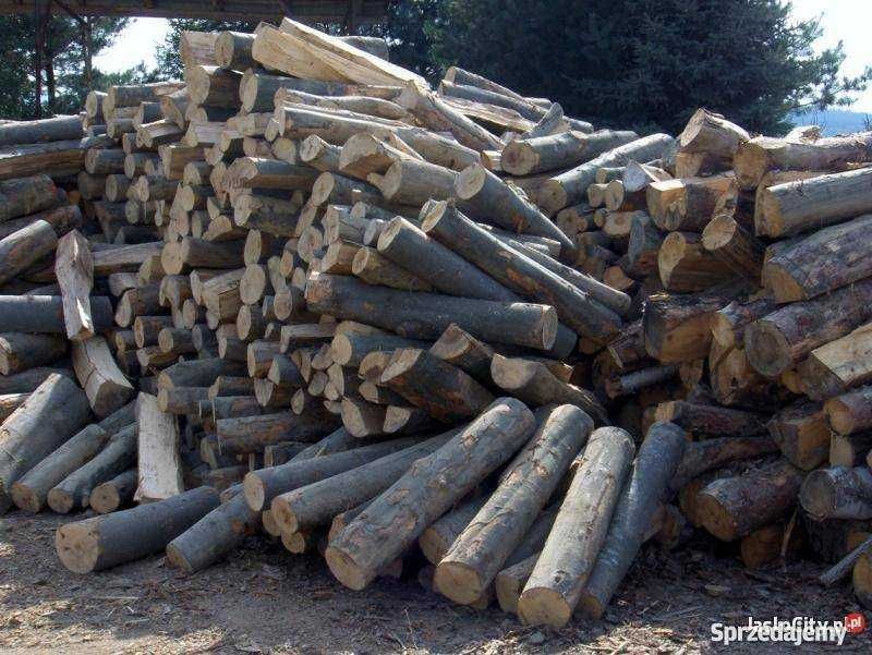 Drewno do kominka bukowe.