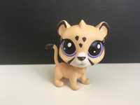 Littlest Pet Shop/gepart/kotek