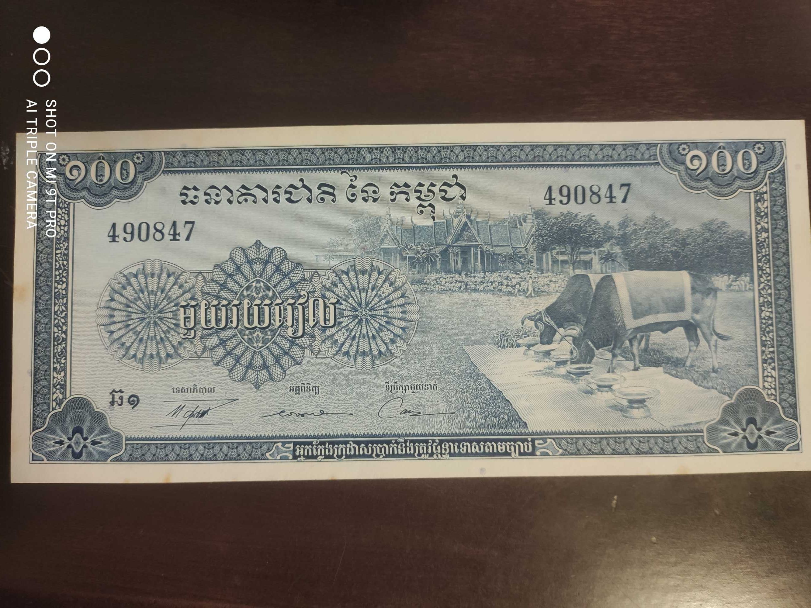 Камбоджа 100 риель 1956 год буйволы очень редкая большая красивая бона