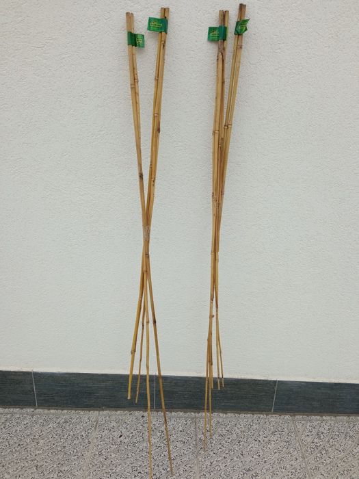 Tutor de bambu - 1 conjunto (5 unidades)