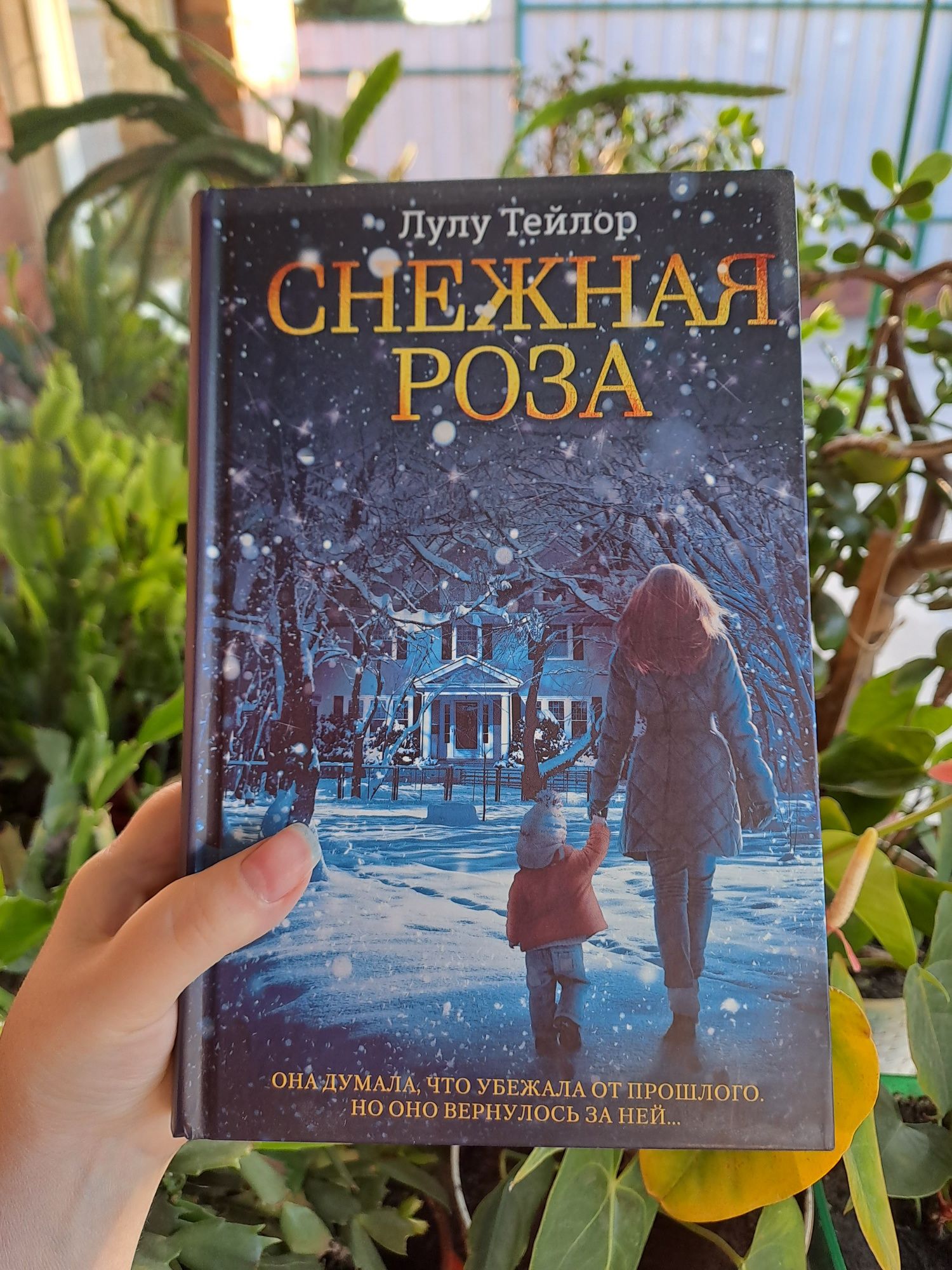 "Снежная роза" Лулу Тейлор