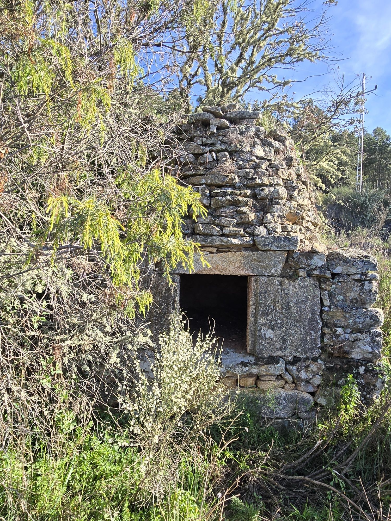 Azeite  -  entre vales biológico.