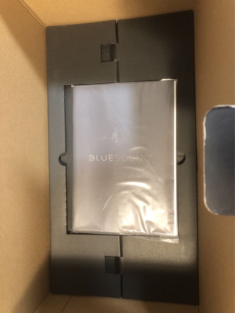 Coluna activa Bluesound Pulse Mini 2i