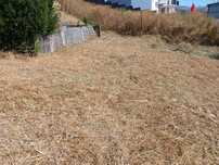 Lote de terreno para construção de vivenda