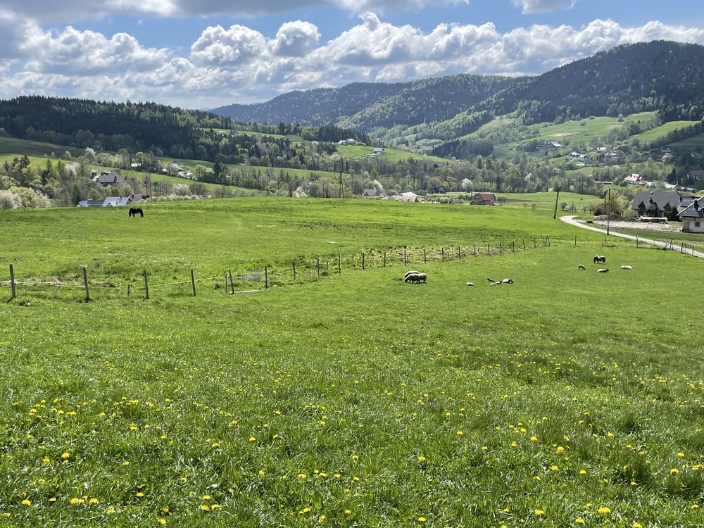 Domek do wynajęcia dom na  wynajem wypoczynek noclegi Beskid Wyspowy