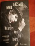Wchodzi koń do baru David Grosman