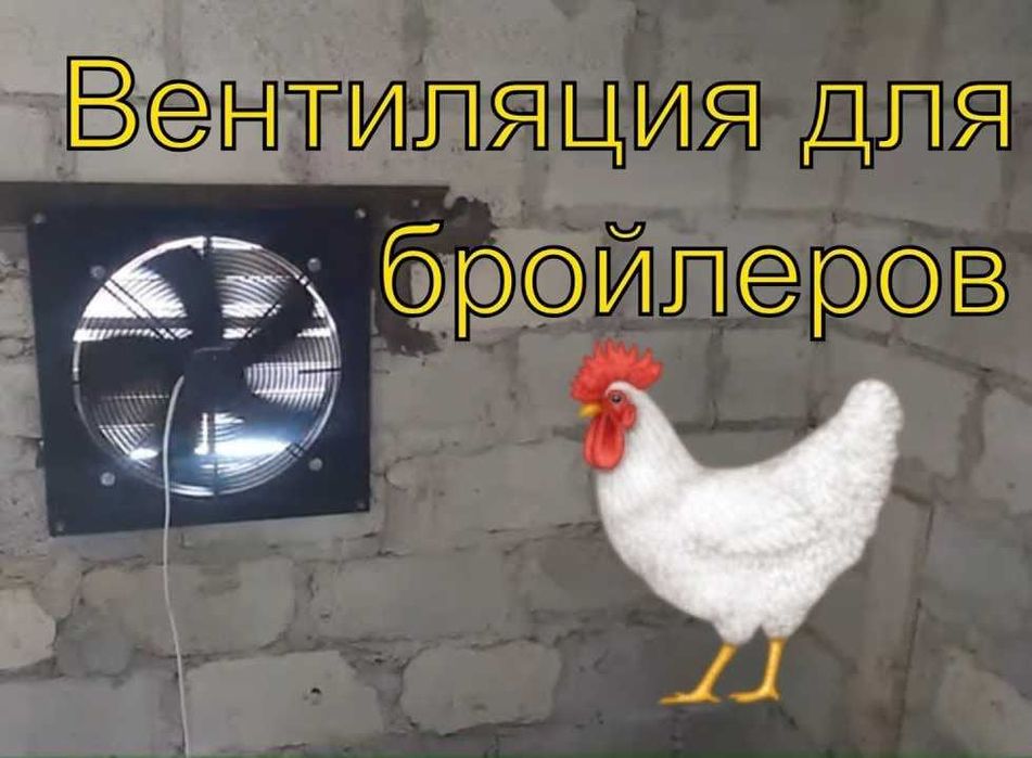 Вентиляція пташника, скловолоконний вентилятор, осьовий вентилятор