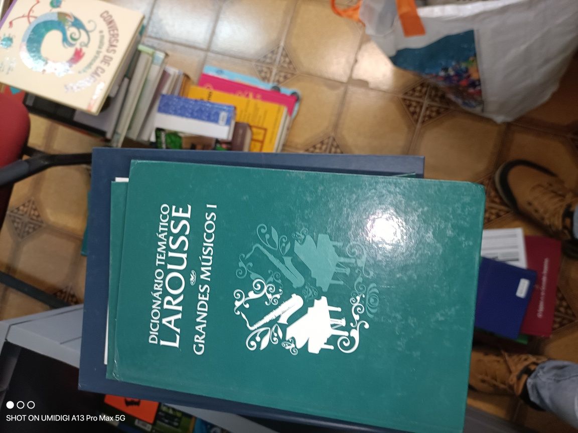 Livros dicionários e atlas