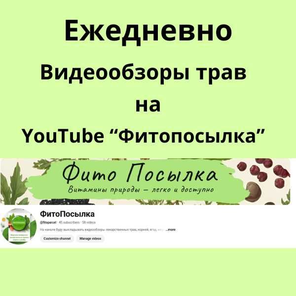 Лекарственные травы, ягоды, корни — 150+  позиций! От 500 грамм.