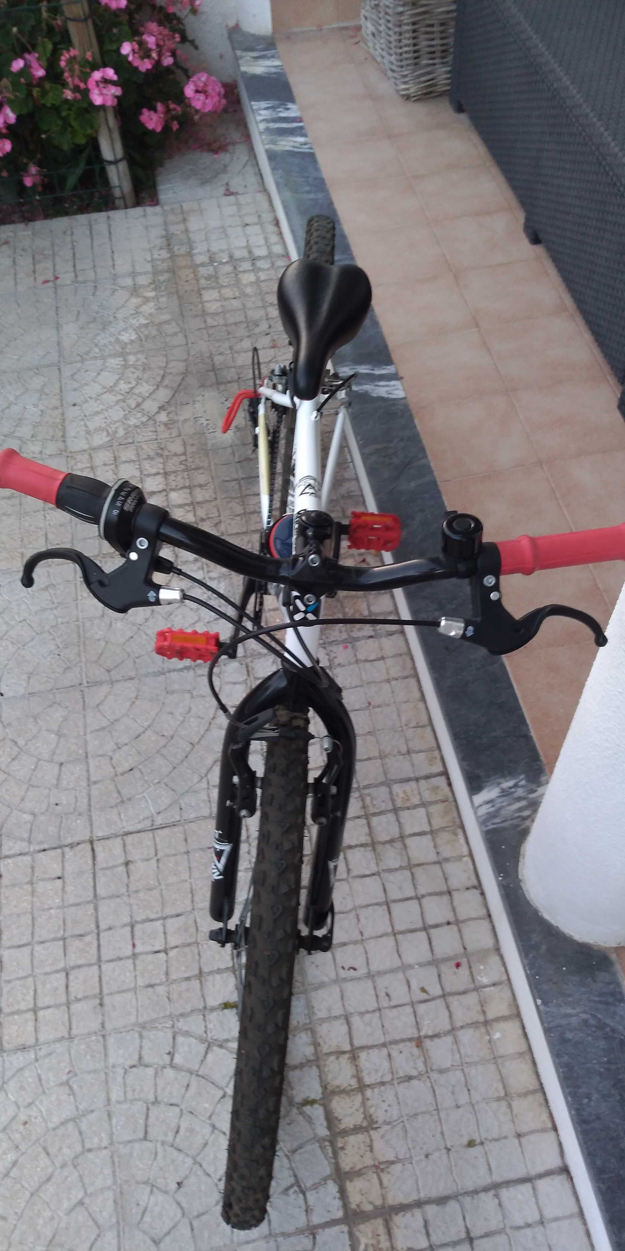 Bicicleta de criança Roda 24