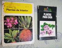 Plantas de Interior e Plantas para Casa