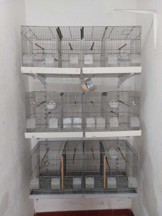 Gaiolas de criação