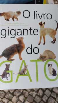 O Livro Gigante do Gato