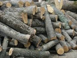 Продам дрова твердих порід.