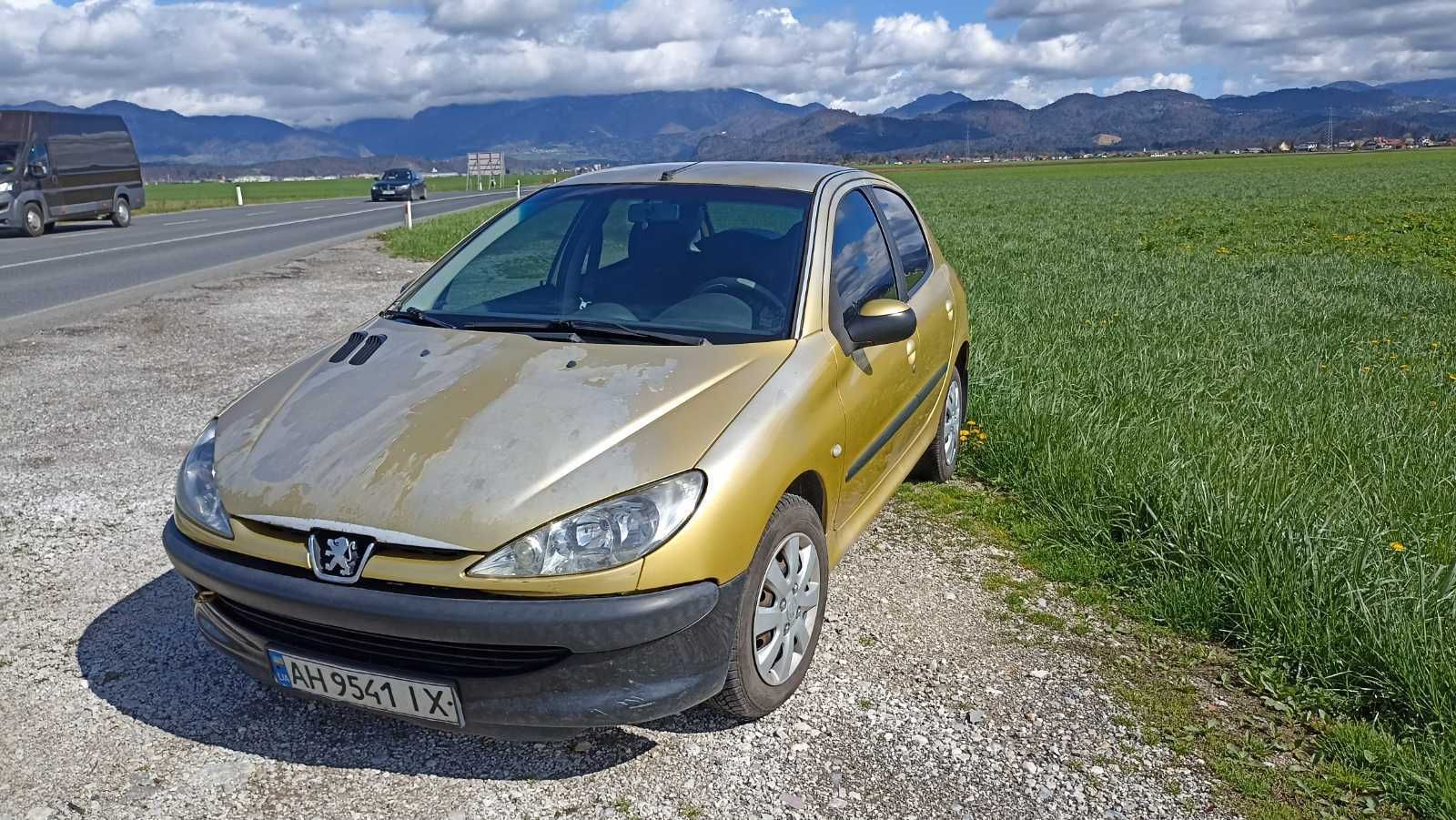 Peugeot 206 (2004р./1.4i)