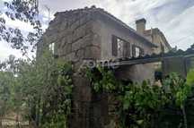 Quinta Única Encostada ao Rio Mondego – Um Refúgio Natural de Sonho...