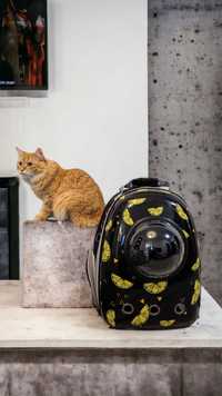 Рюкзак переноска для котів, контейнер з ілюмінатором