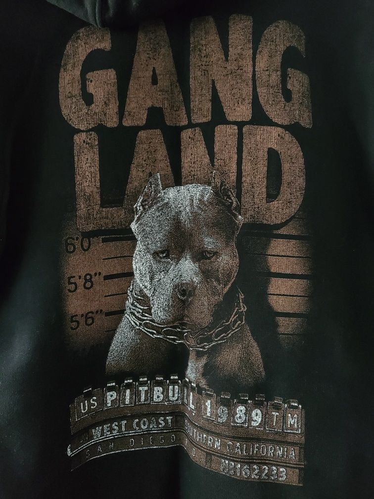 Bluza PITBULL czarna