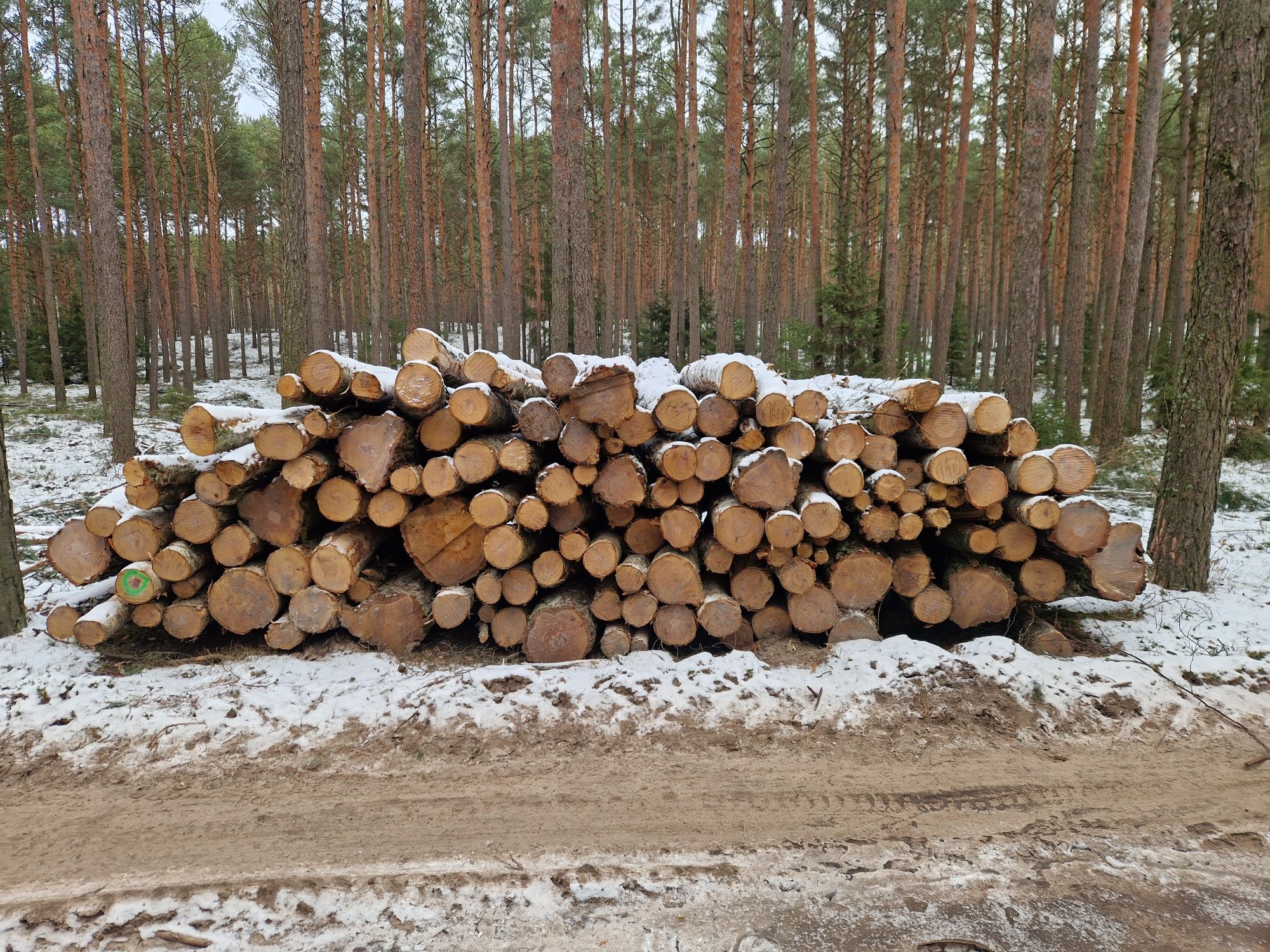 Drewno opałowe i kominkowe