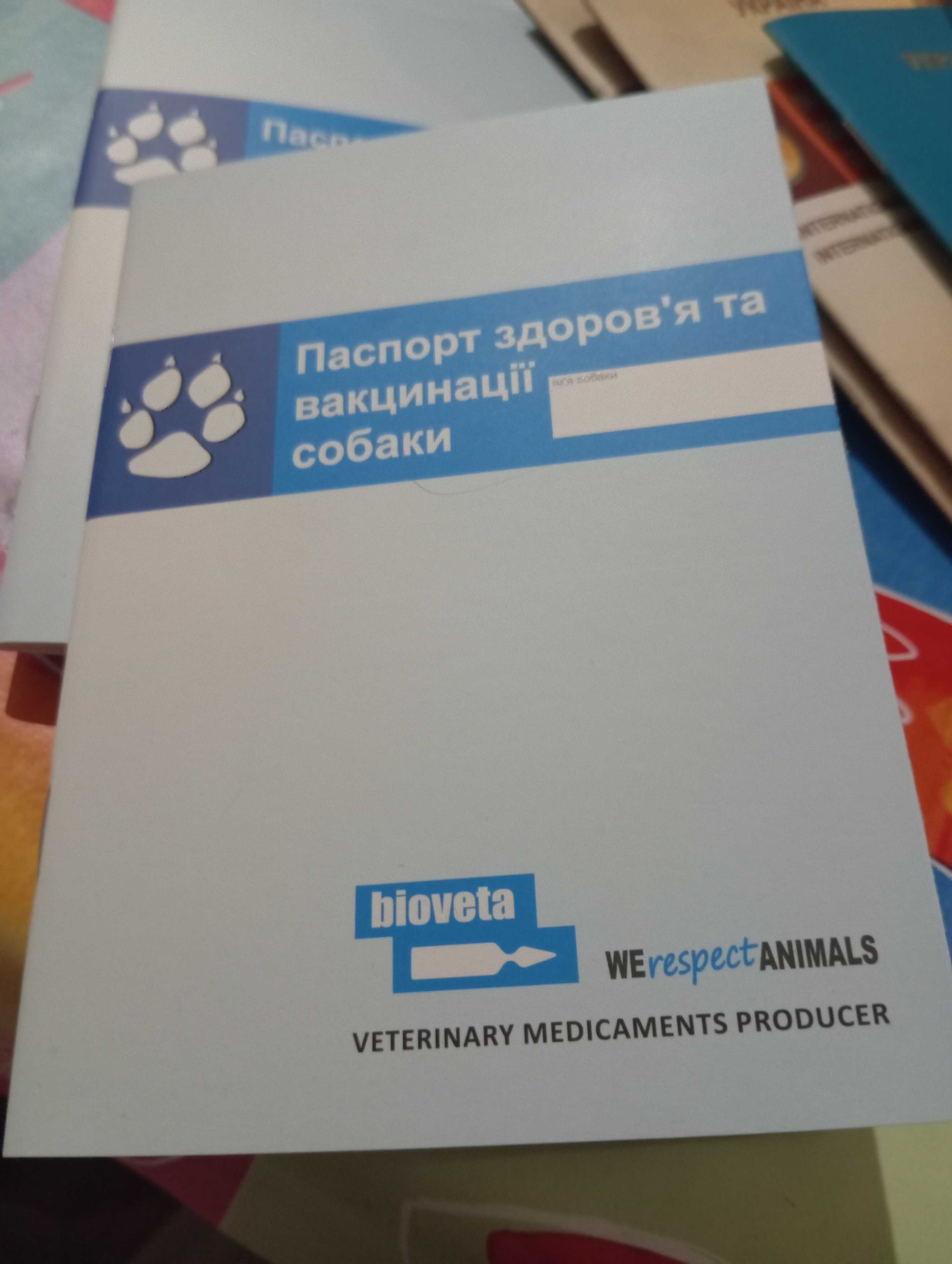 Песик,дівчинка, 6 місяців, домашащня.Стереліз,Безкошт.