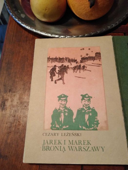 Leżenski seria książek Jarek i marek