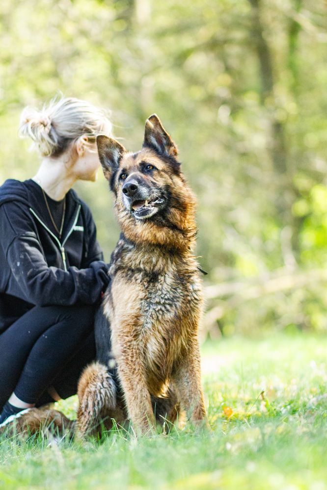 Liszka poleca się do adopcji!