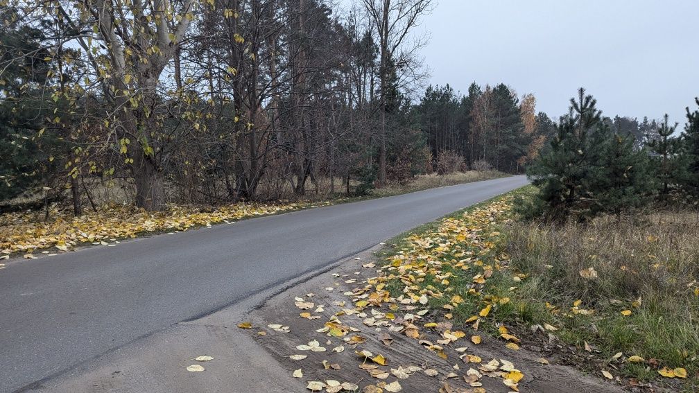 Działka budowlana Sadlinki, Karpiny