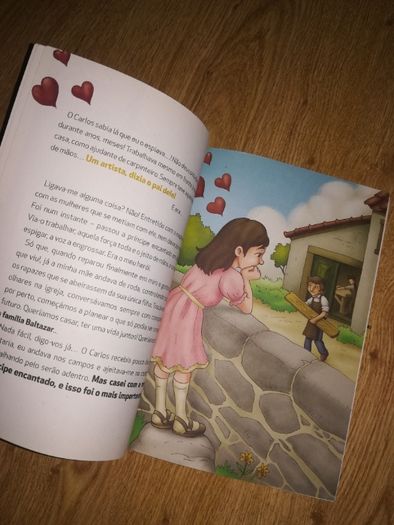 Livro "Os Baltazar" de Margarida Fonseca Santos