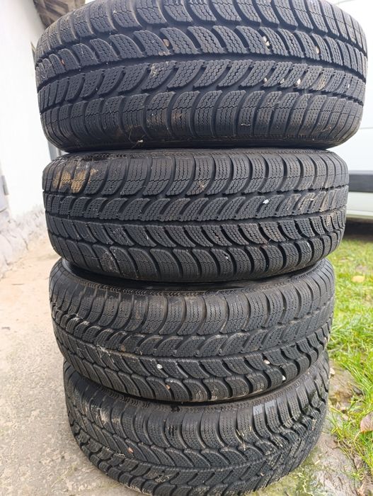 Ризина в гарному стані