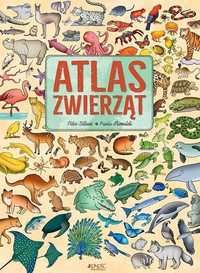 Atlas Zwierząt, Anna Gogolin