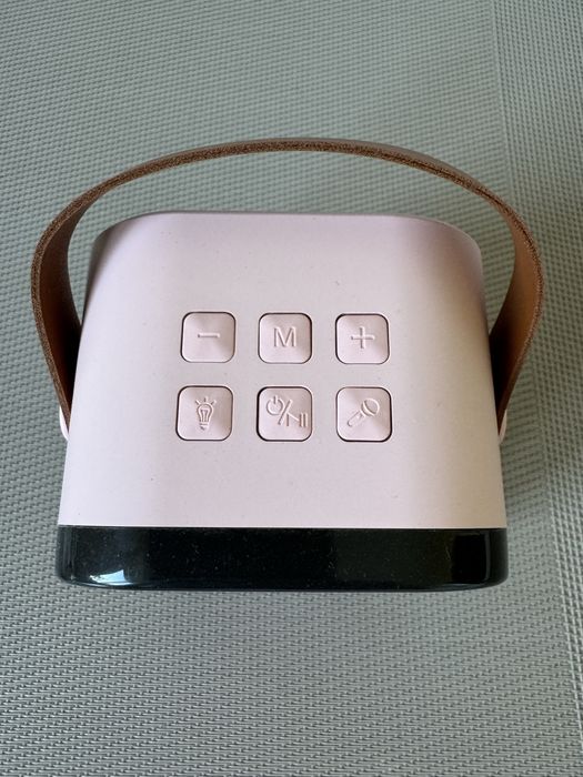 Детское караоке, блютус колонка с микрофоном, поющая колонка, микрофон