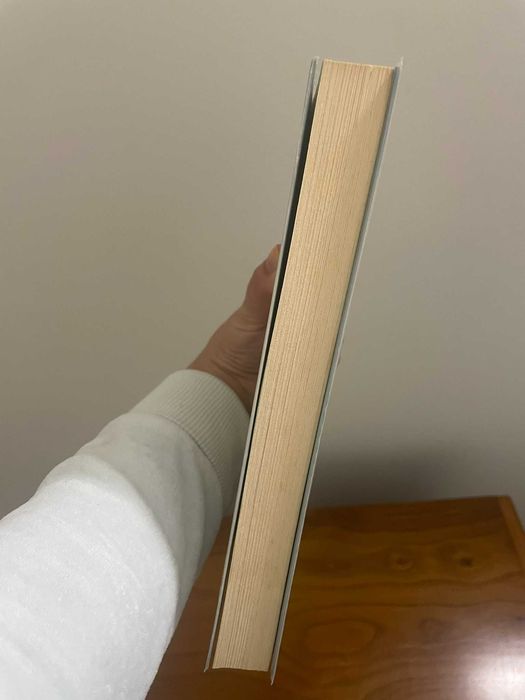 Livro - A Menina que Fazia Nevar