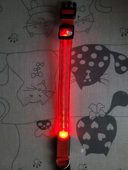 Obroża led odblaskowa dla psa
