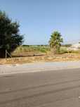 Terreno Urbano com área de cultivo