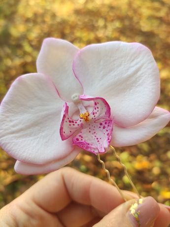 Шпилька, орхидея