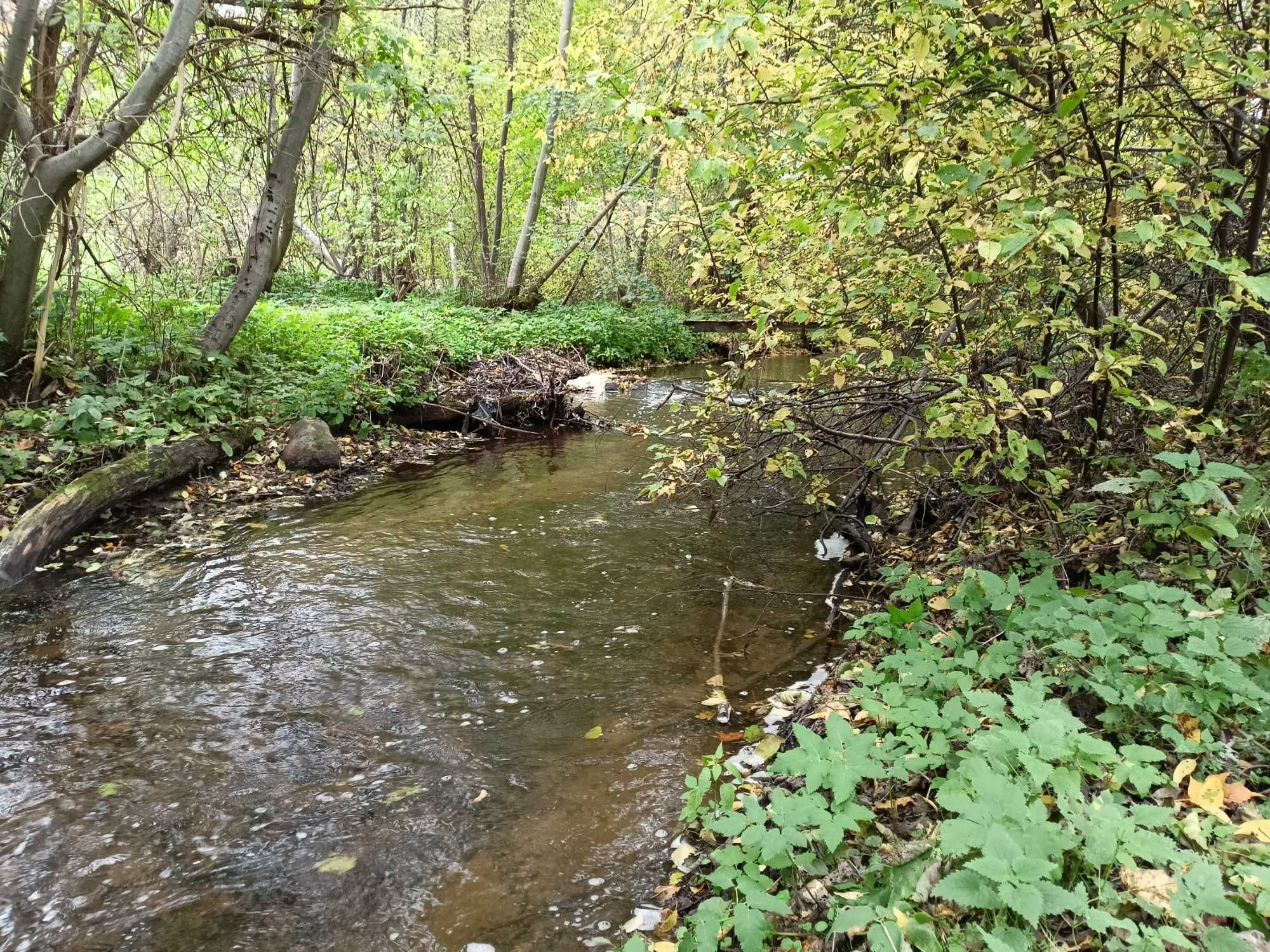 Działka nad Rzeką/Jeziorem