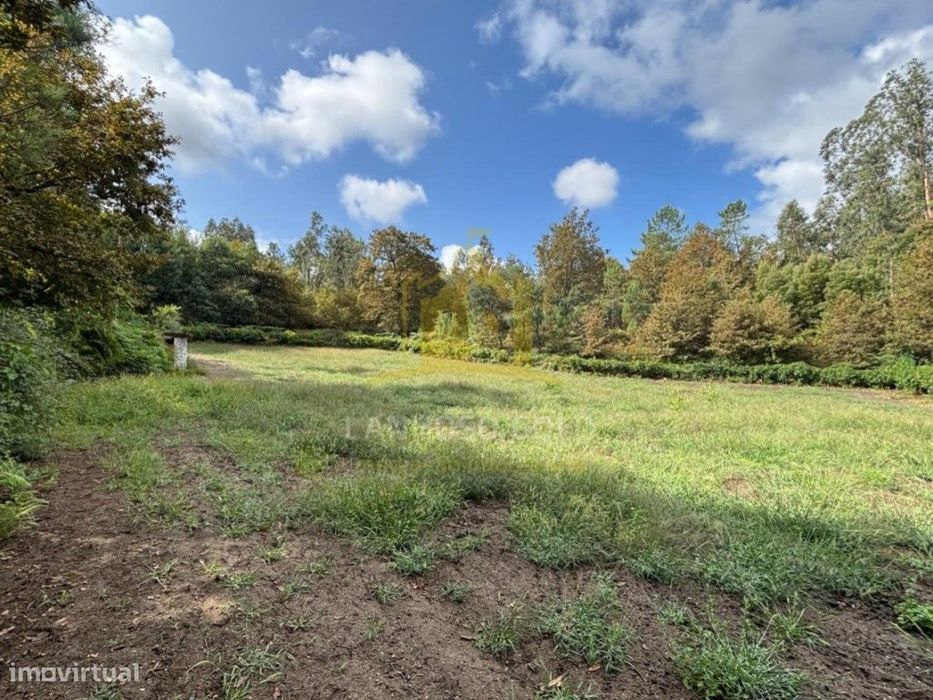 Terreno Agrícola com 5.625 m² | Verim - Póvoa de Lanhoso
