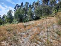 Terreno de construção com 1.800 m2 em Travassós