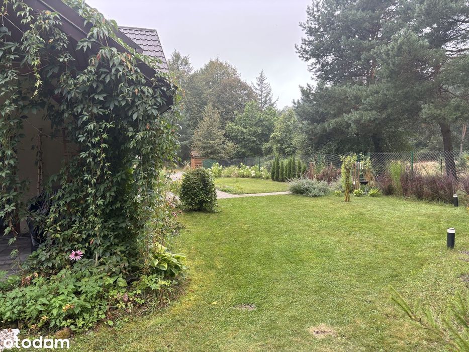 Dom pod lasem. Internet. Fotowoltaika.