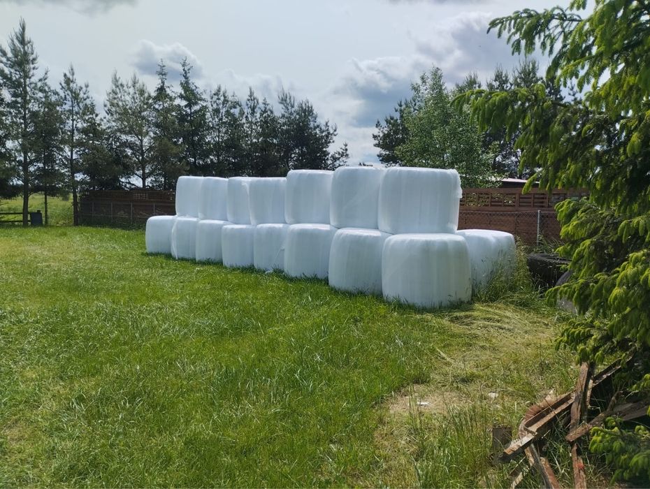 Sianokiszonka pierwszy pokos