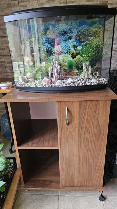 Продам акваріум на 60 л з тумбою