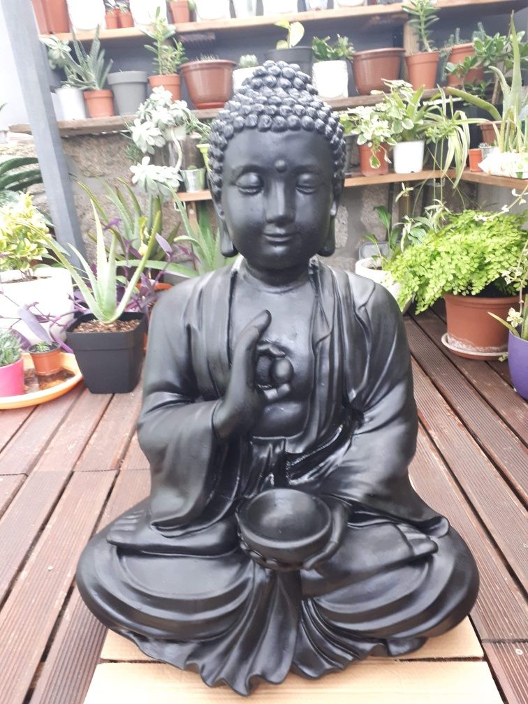 Vendo Buda preto