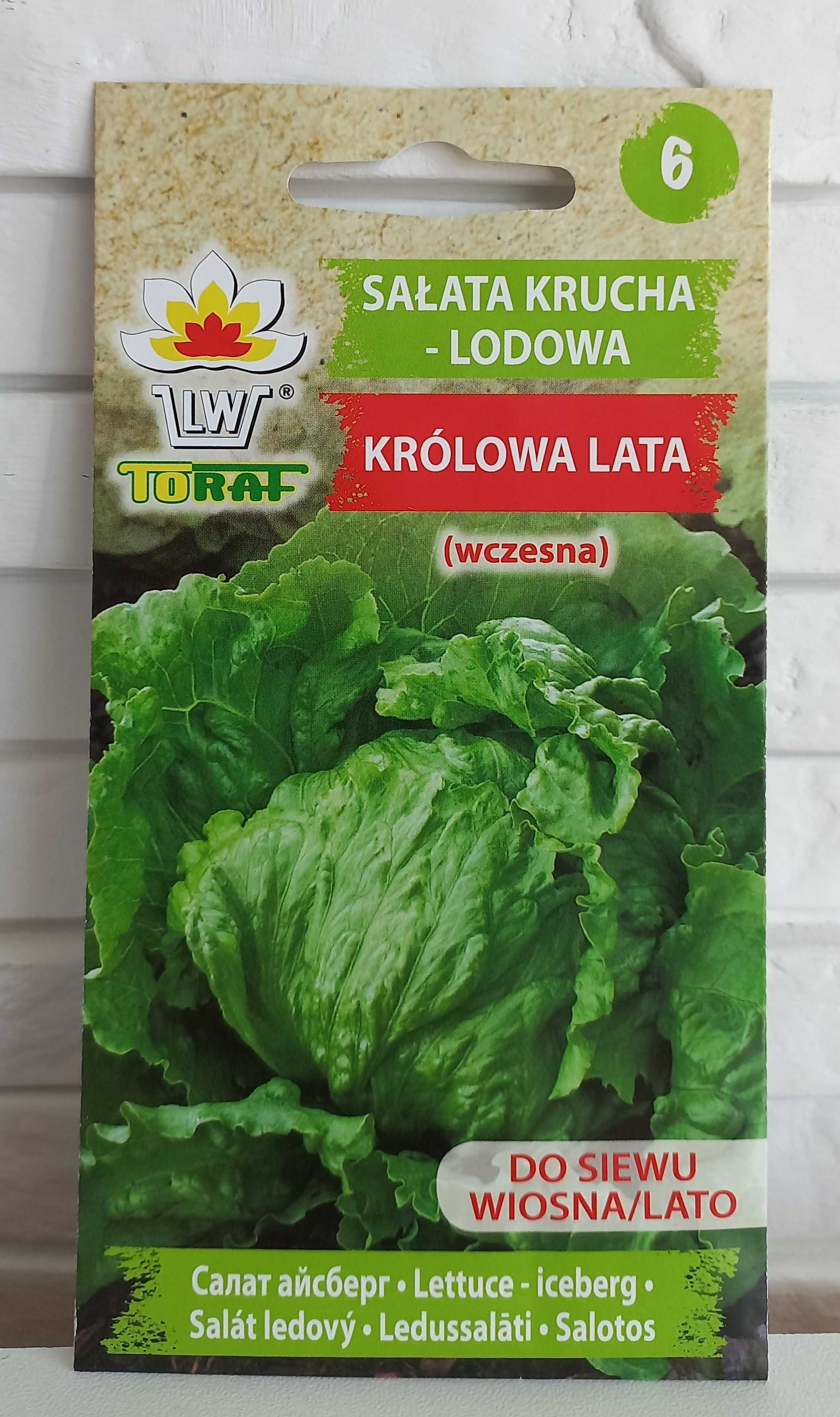 Sałata krucha - lodowa Królowa Lata (wczesna) 1g