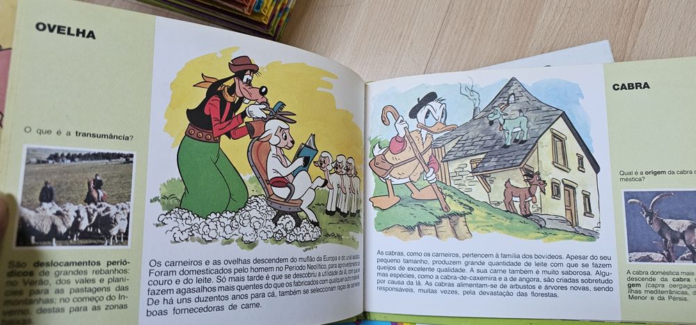 Coleção Disney "É Divertido Conhecer" – 25 livros capa dura (1988)