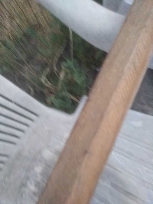 Палки для підв'язки помідор чи квасолі