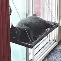 Dracarys Hamak dla kotów na okno