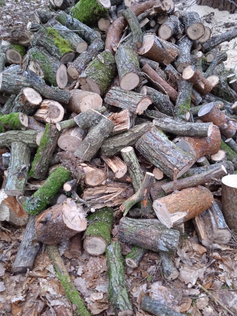 Drewno opałowe - kominkowe i gałęziówka