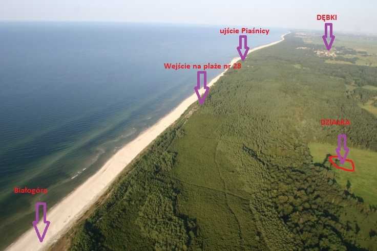 Działka nad morzem 300 m od plaży między Białogóra / Dębki