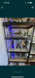 Puste terrarium z dodatkami