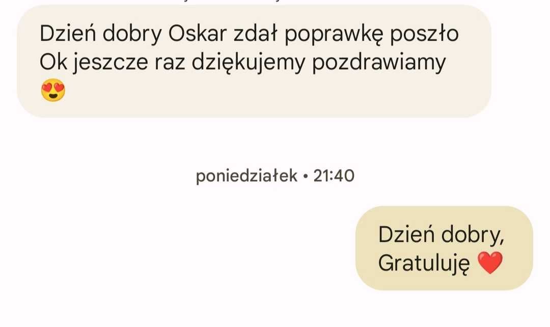 Nauczyciel  polskiego przygotowujący  do poprawek , online i w domu .